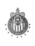 CLUB DEPORTIVO GUADALAJARA S.A. DE C.V.