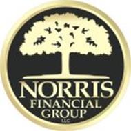 NORRIS FINANCIAL GROUP LLC