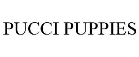 PUCCI PUPPIES