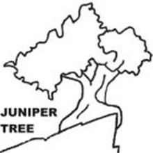 JUNIPER TREE