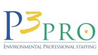 P3 PRO ENVIRONMENTAL PROFESSIONAL STAFFING