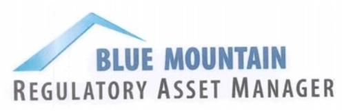 BLUE MOUNTAIN REGULATORY ASSET MANAGER TM
