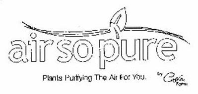 AIR SO PURE PLANTS PURIFYING THE AIR FOR YOU. BY COSTA FARMS