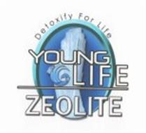 DETOXIFY FOR LIFE YOUNG LIFE ZEOLITE
