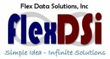 FLEX DATA SOLUTIONS, INC FLEXDSI SIMPLE IDEA - INFINITE SOLUTIONS