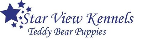 STAR VIEW KENNELS TEDDY BEAR PUPPIES