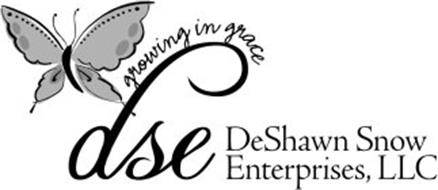 DSE DESHAWN SNOW ENTERPRISES, LLC GROWING IN GRACE