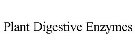 PLANT DIGESTIVE ENZYMES