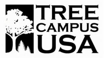 TREE CAMPUS USA