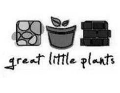 GREAT LITTLE PLANTS