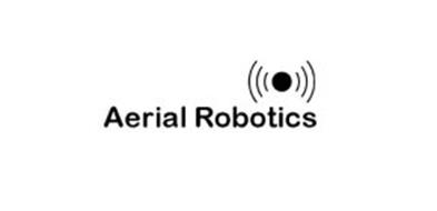 AERIAL ROBOTICS