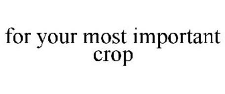 FOR YOUR MOST IMPORTANT CROP