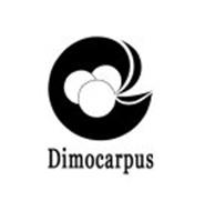 DIMOCARPUS