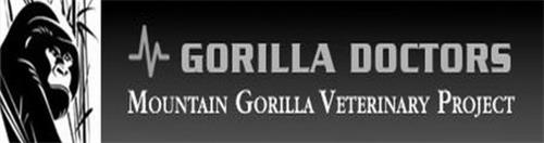 GORILLA DOCTORS MOUNTAIN GORILLA VETERINARY PROJECT