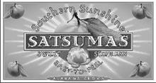 SATSUMAS SOUTHERN SUNSHINE SWEET SEEDLESS EASY-TO-PEEL ALABAMA GROWN