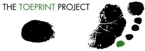 THE TOEPRINT PROJECT