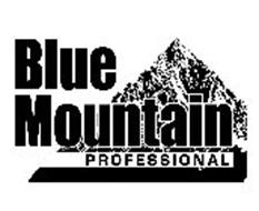 BLUE MOUNTAIN PROFESSIONAL