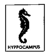 HYPPOCAMPUS