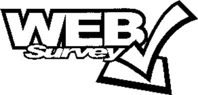 WEB SURVEY