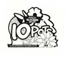 POHLMANS BLOOMIN VALUE THE PAK WITH 10 POTS OF FLOWERING COLOUR 10 POTS