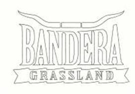 BANDERA GRASSLAND