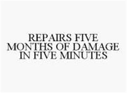 REPAIRS FIVE MONTHS OF DAMAGE IN FIVE MINUTES