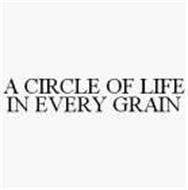 A CIRCLE OF LIFE IN EVERY GRAIN