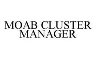 MOAB CLUSTER MANAGER