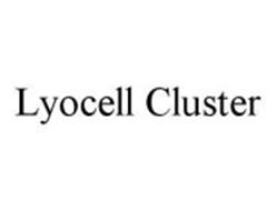 LYOCELL CLUSTER