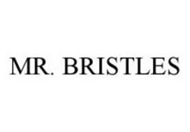 MR. BRISTLES