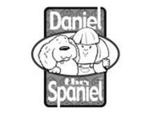 DANIEL THE SPANIEL