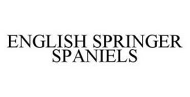 ENGLISH SPRINGER SPANIELS