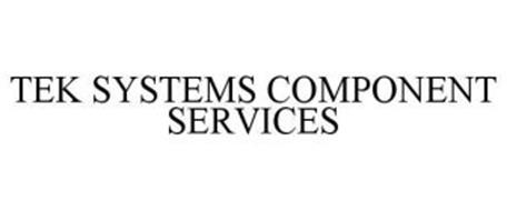 TEK SYSTEMS COMPONENT SERVICES
