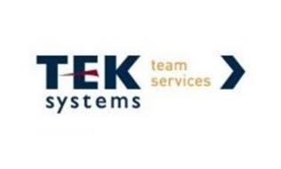 TEK SYSTEMS TEAM SERVICES