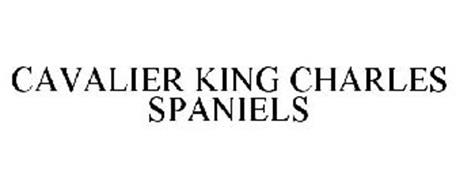 CAVALIER KING CHARLES SPANIELS