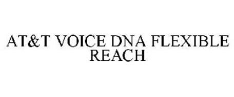 AT&T VOICE DNA FLEXIBLE REACH