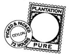 PLANTATION PURE PICKED & PACKED CEYLON 72 HOURS