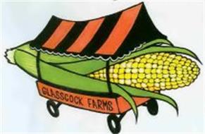 GLASSCOCK FARMS
