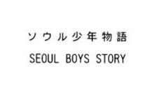 SEOUL BOYS STORY