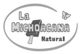LA MICHOACANA NATURAL