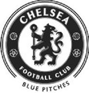 CHELSEA FOOTBALL CLUB BLUE PITCHES