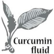 CURCUMIN FLUID