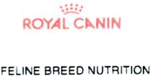 ROYAL CANIN FELINE BREED NUTRITION
