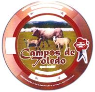 CAMPOS DE TOLEDO