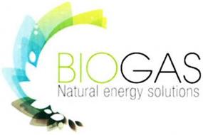 BIOGAS NATURAL ENERGY SOLUTIONS