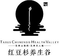 TAXUS CHINENSIS HEALTH VALLEY
