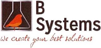 B SYSTEMS WE CREATE YOUR BEST SOLUTIONS