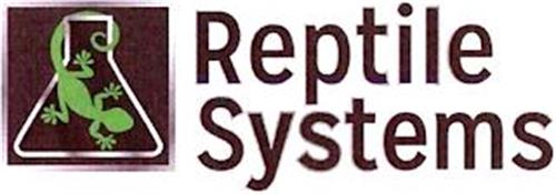 REPITLE SYSTEMS