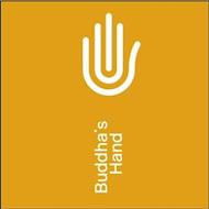 BUDDHA'S HAND