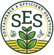 SES SUSTAINABLE & EFFICIENT SOLUTIONS
